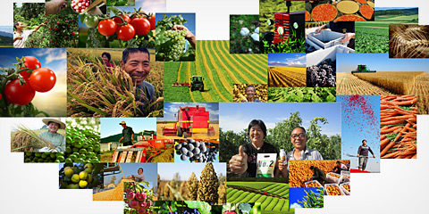 中威助力廣大農(nóng)民增產(chǎn)豐收